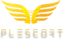Plescort Agency
